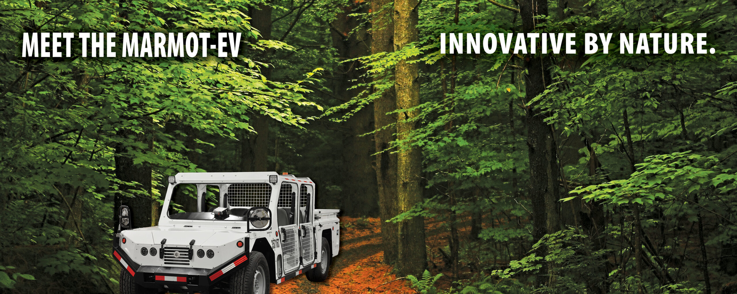 Trade Show Booth Backdrop